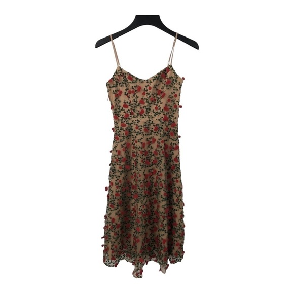 NWT DRESS THE POPULATION Janice Romantic Nude Floral Embroidered Midi Dress XS - Picture 10 of 16
